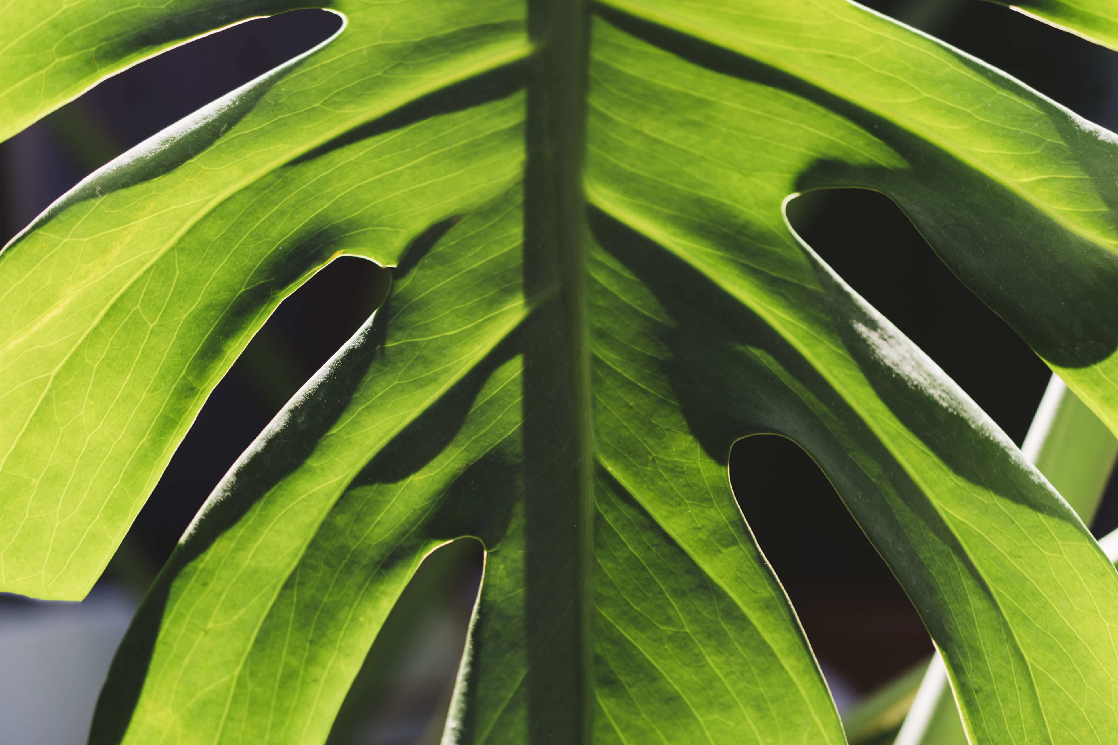 Latar belakang kecil