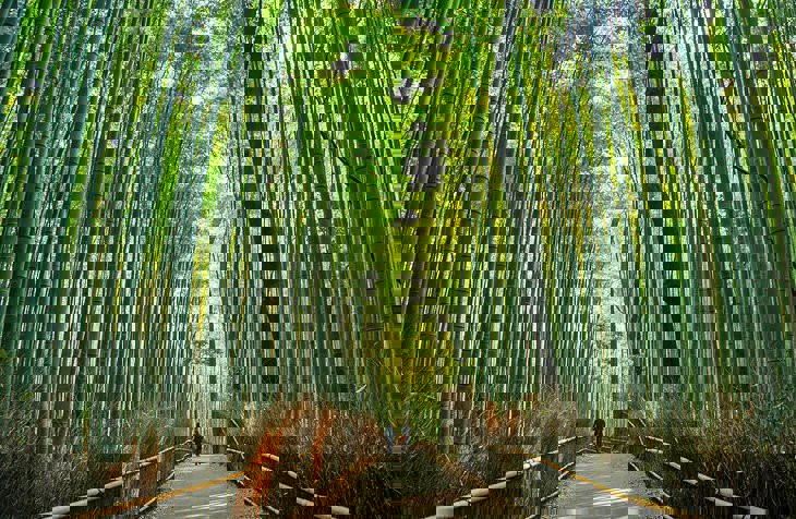 Latar belakang kecil