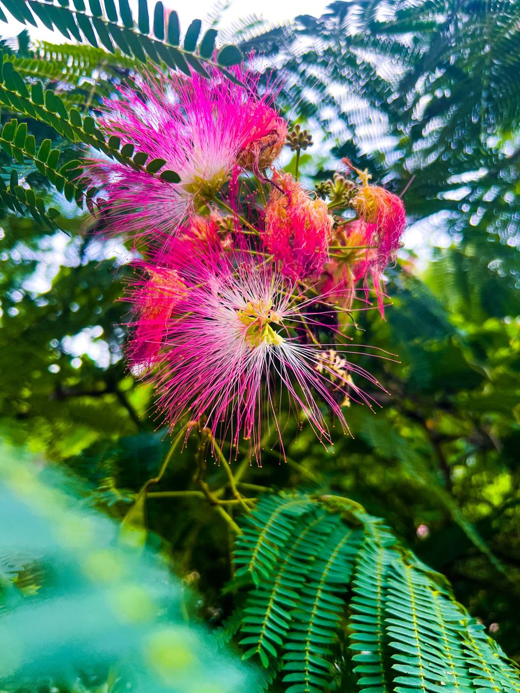 Latar belakang kecil