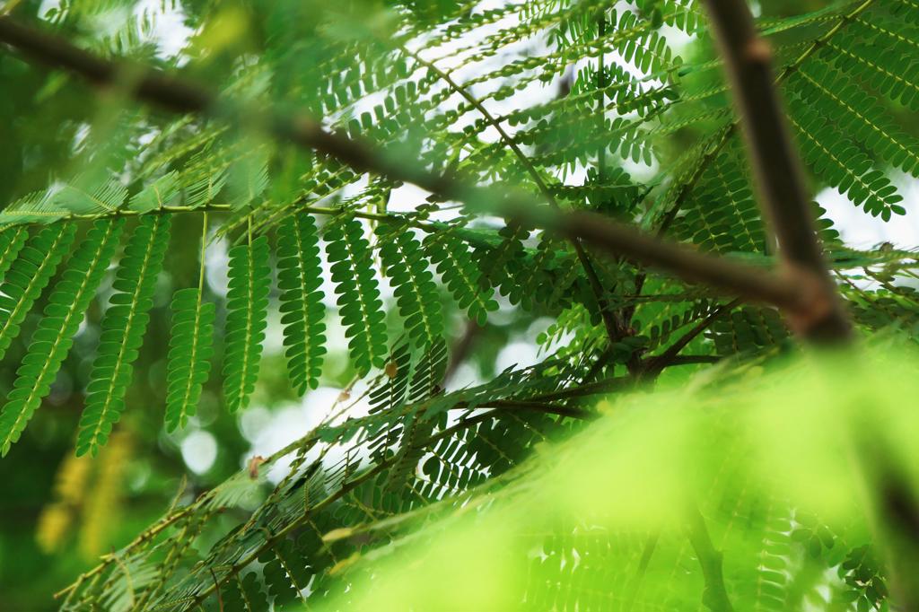 Latar belakang kecil