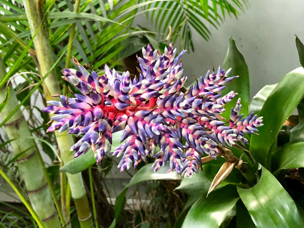 Latar belakang kecil